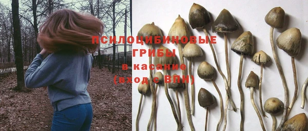 трава Краснослободск