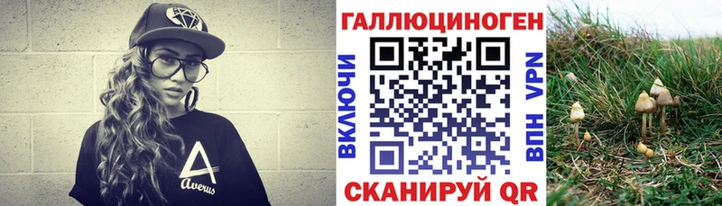 Псилоцибиновые грибы Magic Shrooms  мега маркетплейс  Хадыженск 